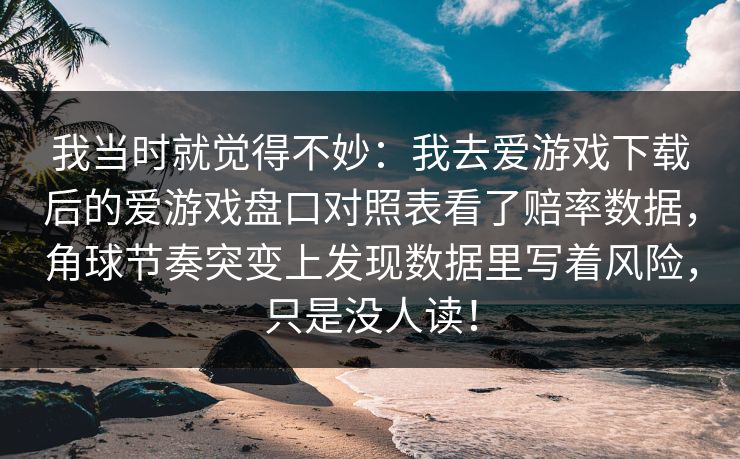 我当时就觉得不妙：我去爱游戏下载后的爱游戏盘口对照表看了赔率数据，角球节奏突变上发现数据里写着风险，只是没人读！