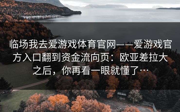 临场我去爱游戏体育官网——爱游戏官方入口翻到资金流向页：欧亚差拉大之后，你再看一眼就懂了…